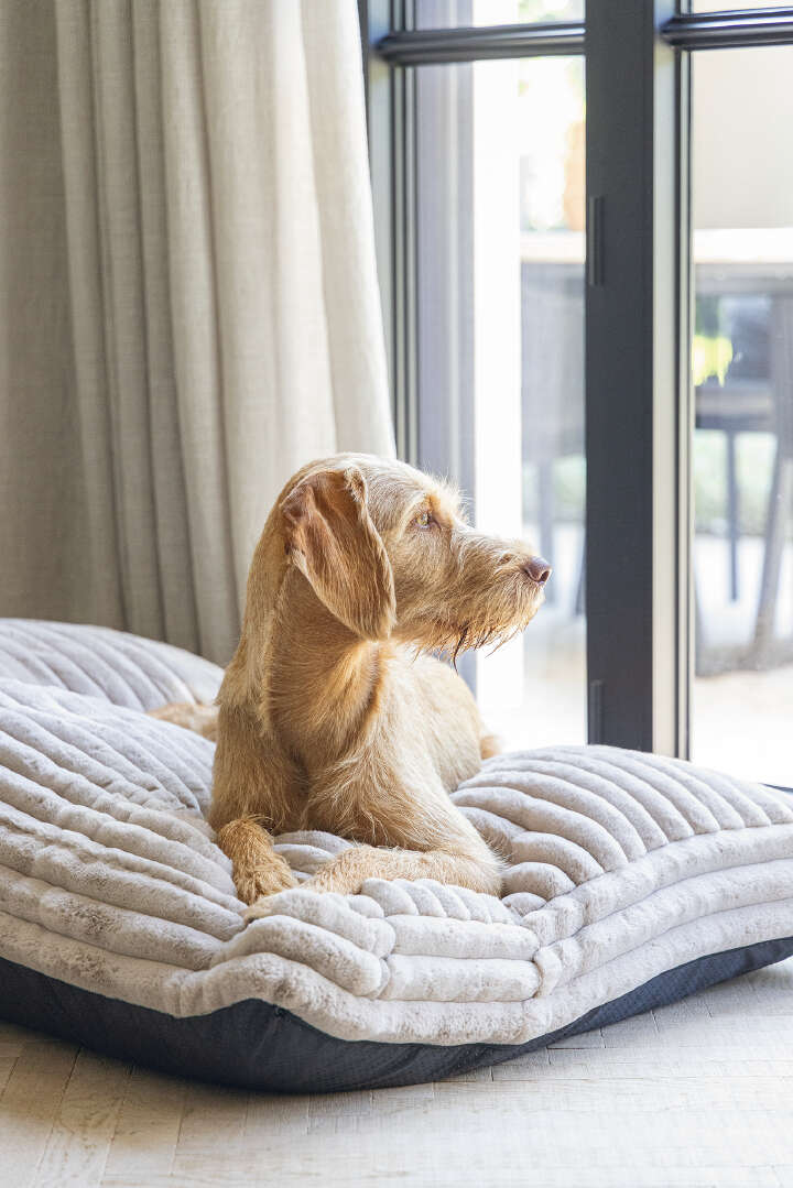 Designed by Lotte Hundekissen Reza